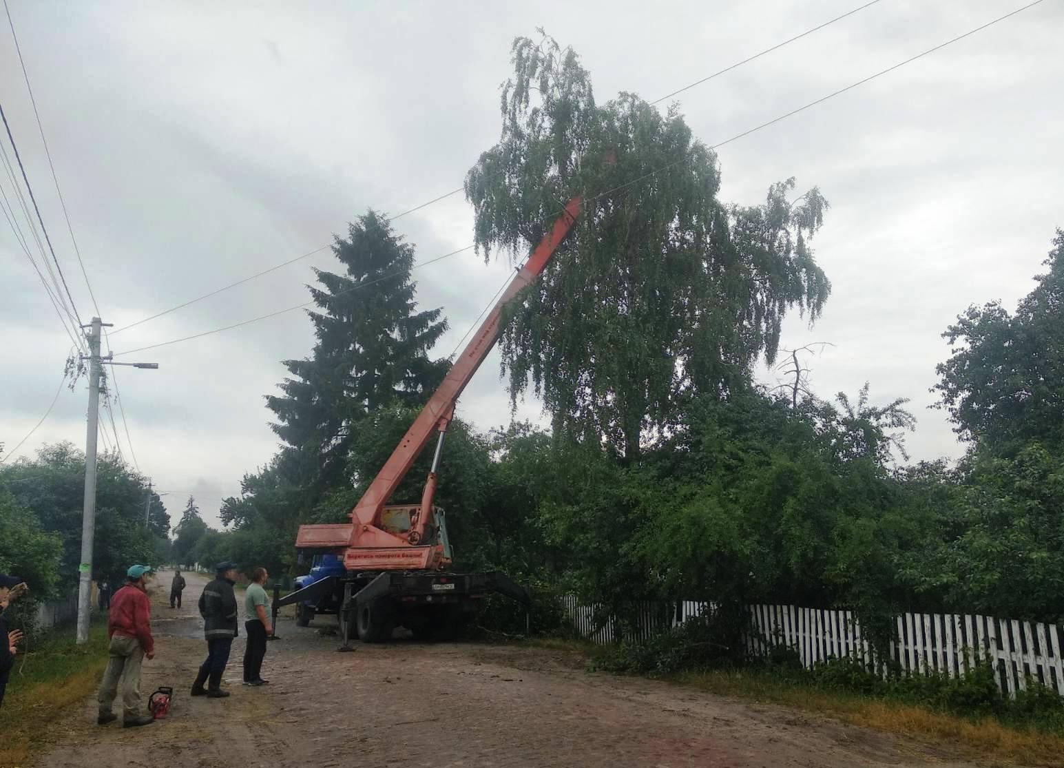 polissya_today-negoda_zt.jpg?itok=H34hRQTw