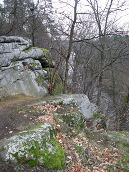 Скелі над Тетеревом